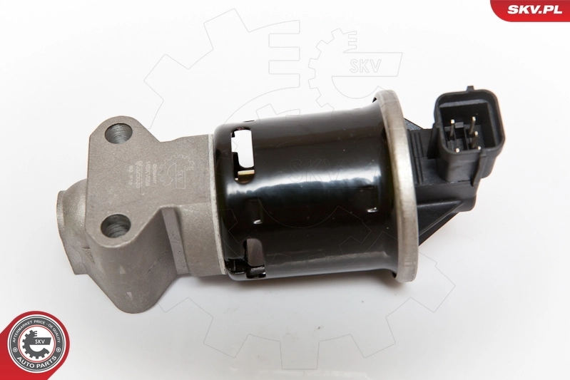 EGR Valve